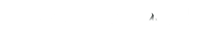 Heat Shock Logo White